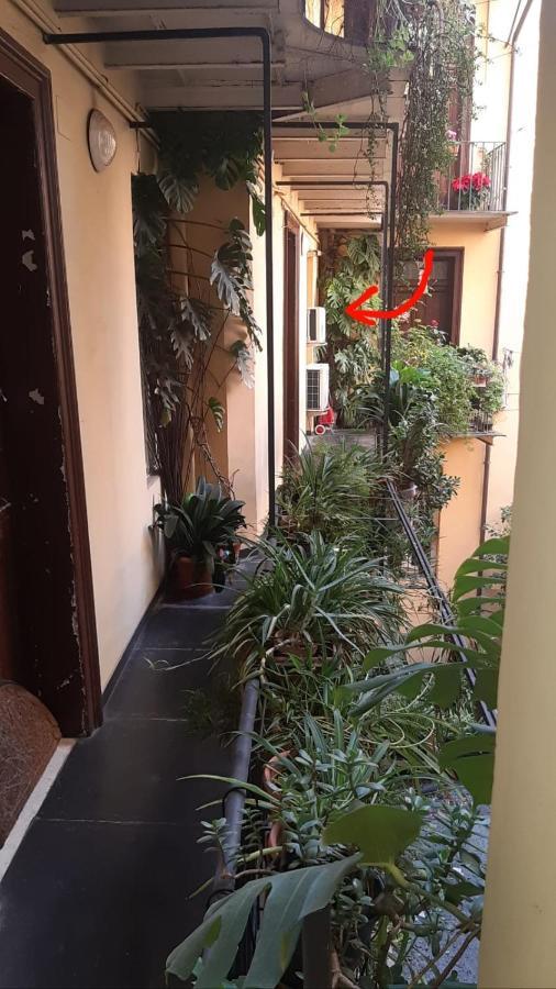 Charme De Rome Vatican Apartment المظهر الخارجي الصورة